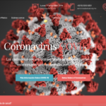 desarrollo web freelance mexico